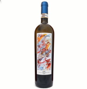 Bonfante-Gavi-Ronchetti