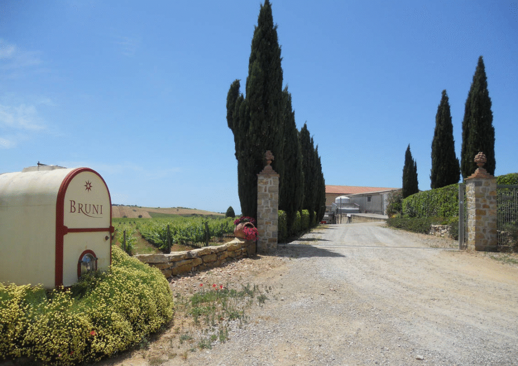 Bruni 4