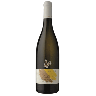 Chardonnay-Cardellino